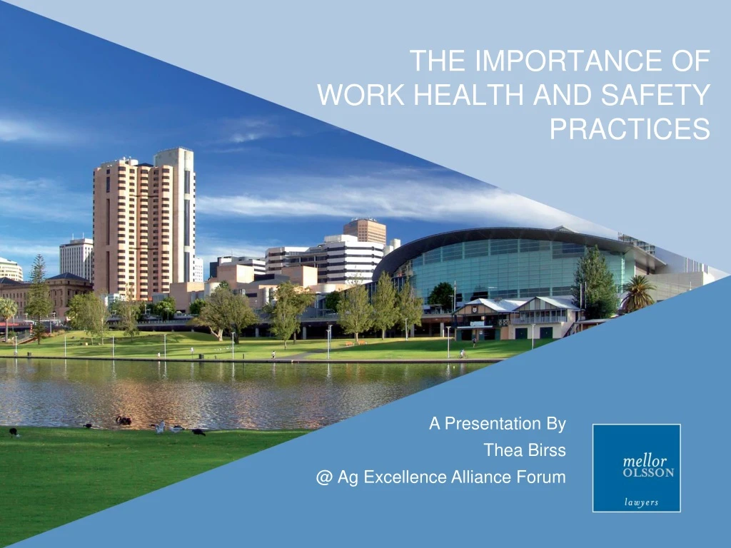 the importance of work health and safety practices