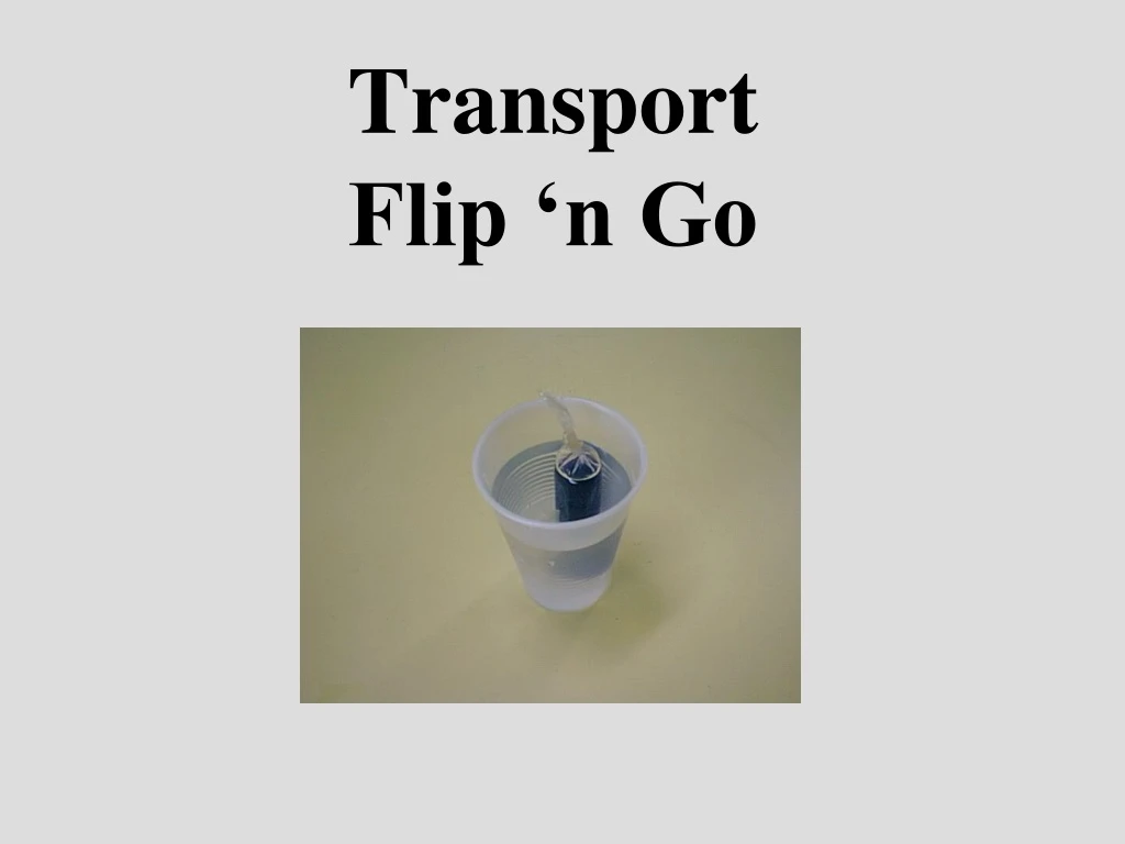 transport flip n go