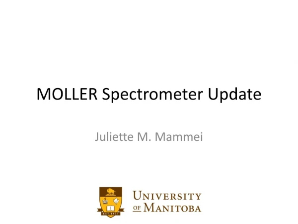 MOLLER Spectrometer Update