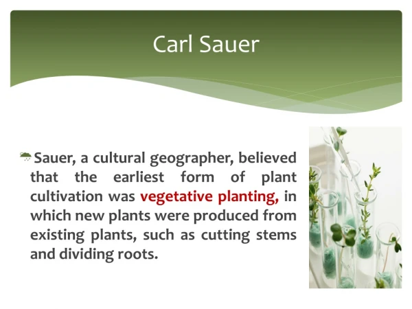 Carl Sauer