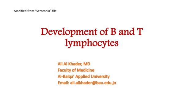 Development of B and T lymphocytes