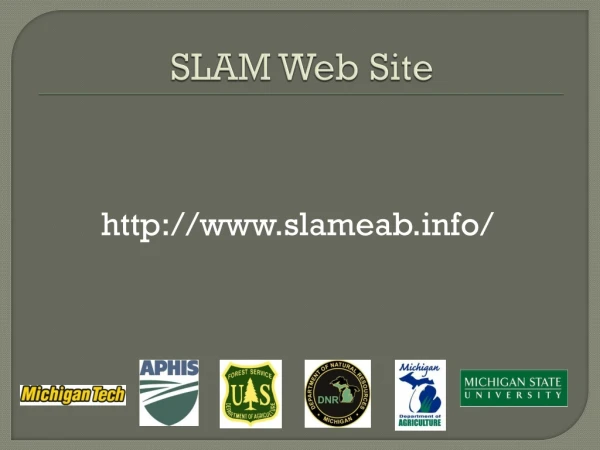 SLAM Web Site