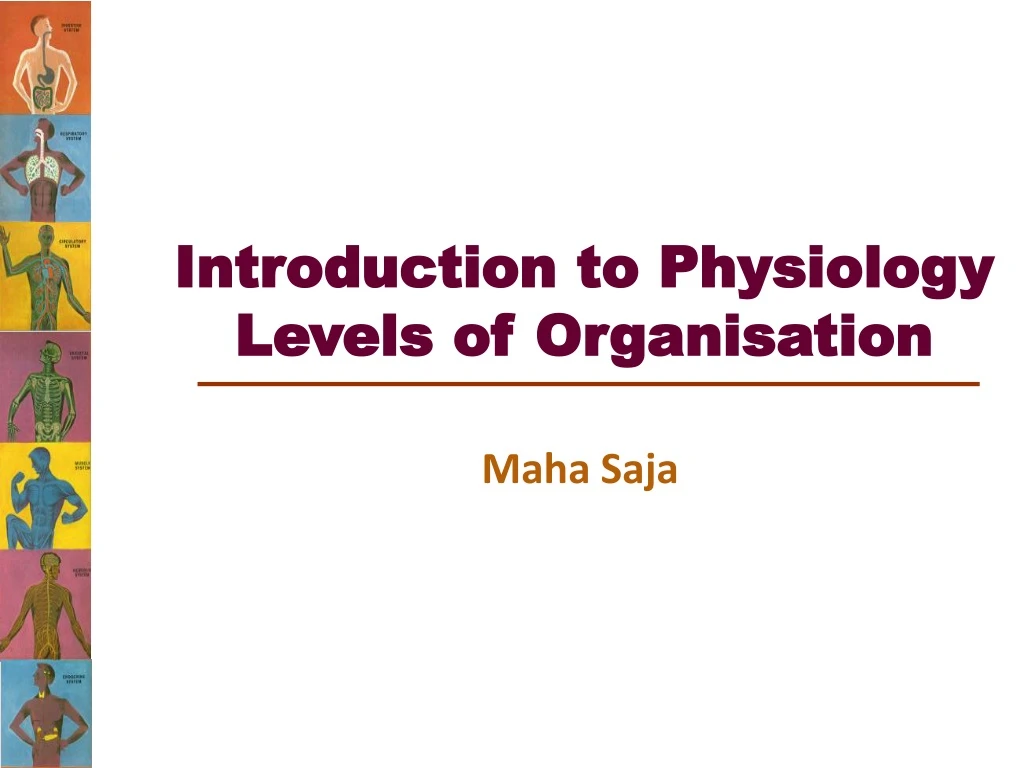 introduction to physiology levels of organisation