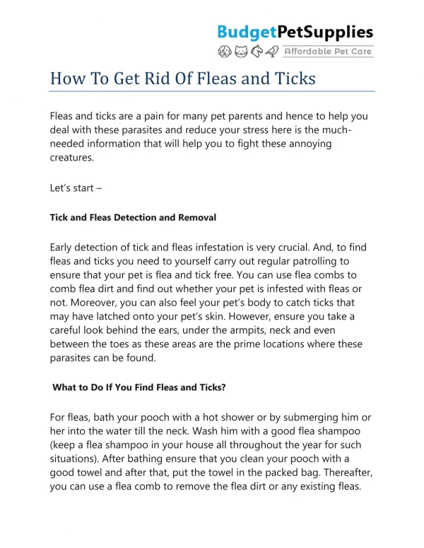 How To Get Rid Of Fleas and Ticks- BudgetPetSupplies