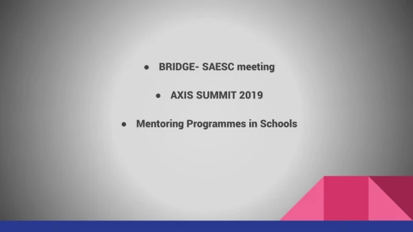 BRIDGE- SAESC meeting AXIS SUMMIT 2019 Mentoring Programmes in Schools