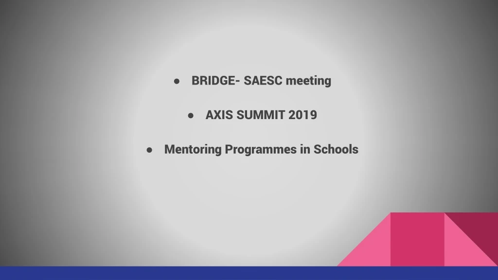 bridge saesc meeting axis summit 2019 mentoring
