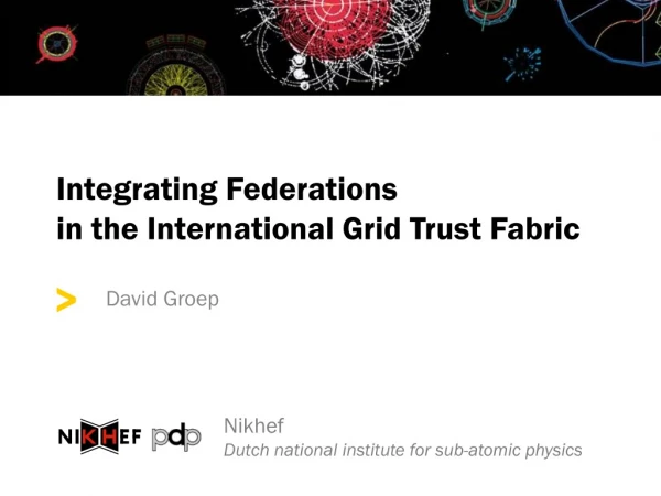 Integrating Federations in the International Grid Trust Fabric