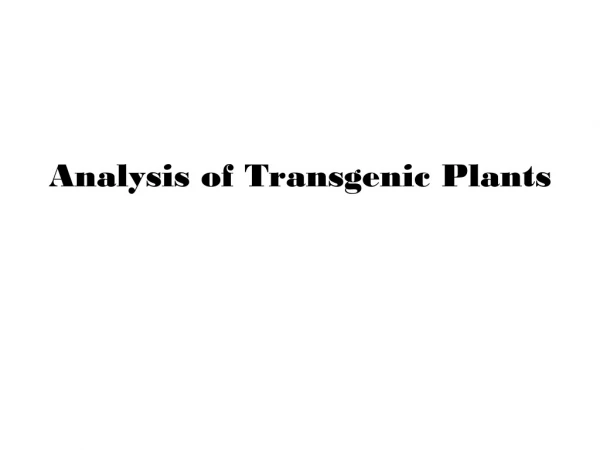Analysis of Transgenic Plants