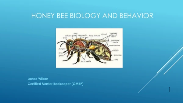 Honey Bee Biology and Behavior