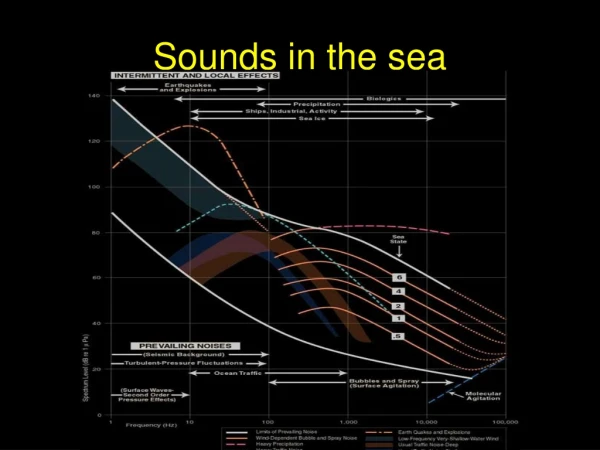 Sounds in the sea
