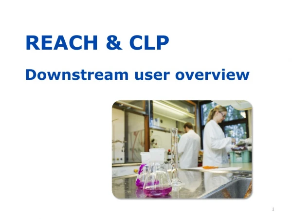 REACH &amp; CLP Downstream user overview