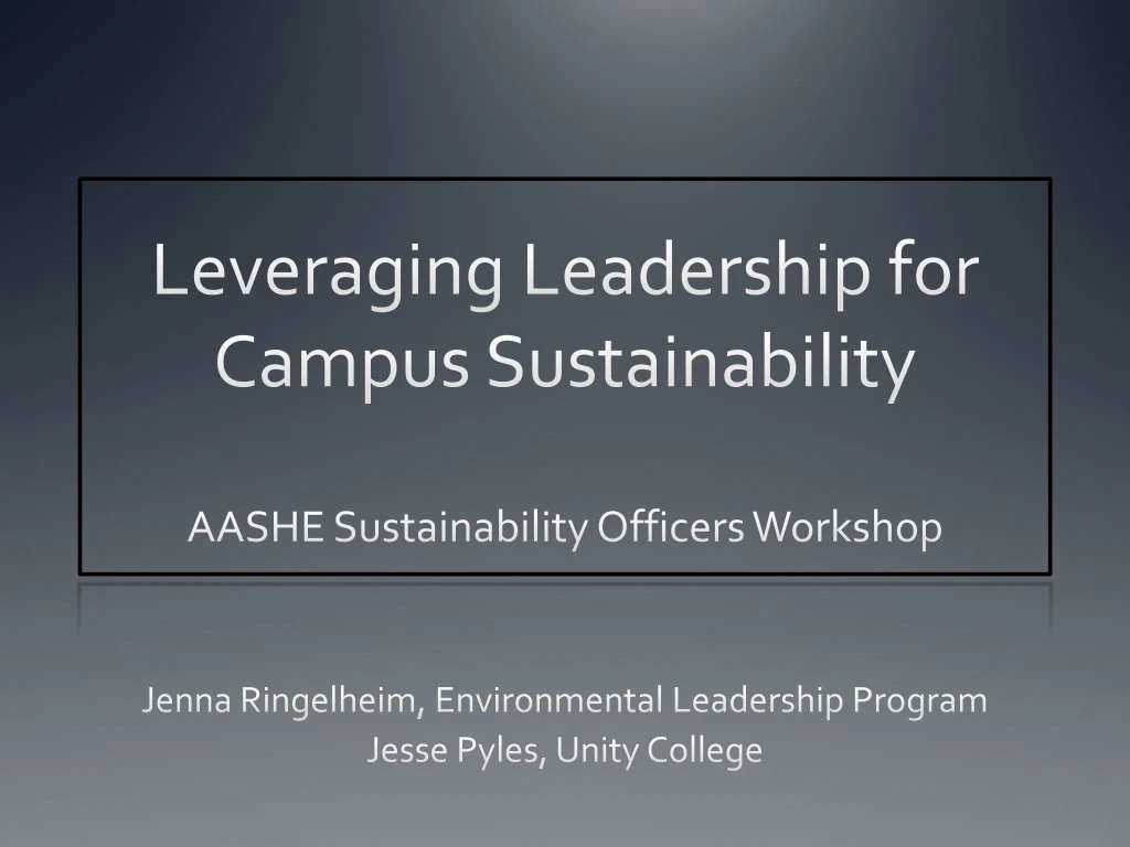 leveraging leadership for campus sustainability aashe sustainability officers workshop
