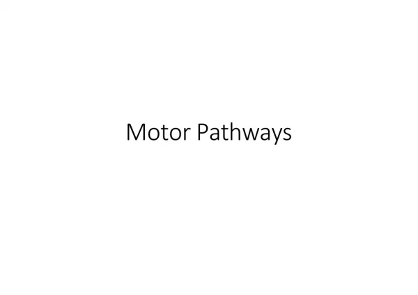 Motor Pathways