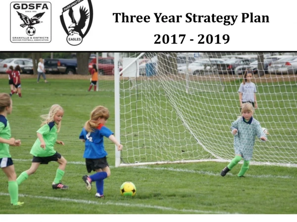 Three Year Strategy Plan 2017 - 2019