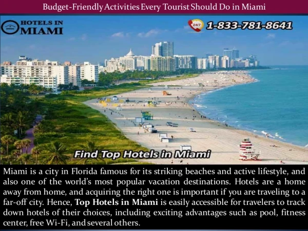 Budget-Friendly Activities Every Tourist Should Do in Miami