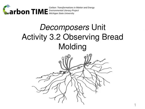 Decomposers Unit Activity 3.2 Observing Bread Molding