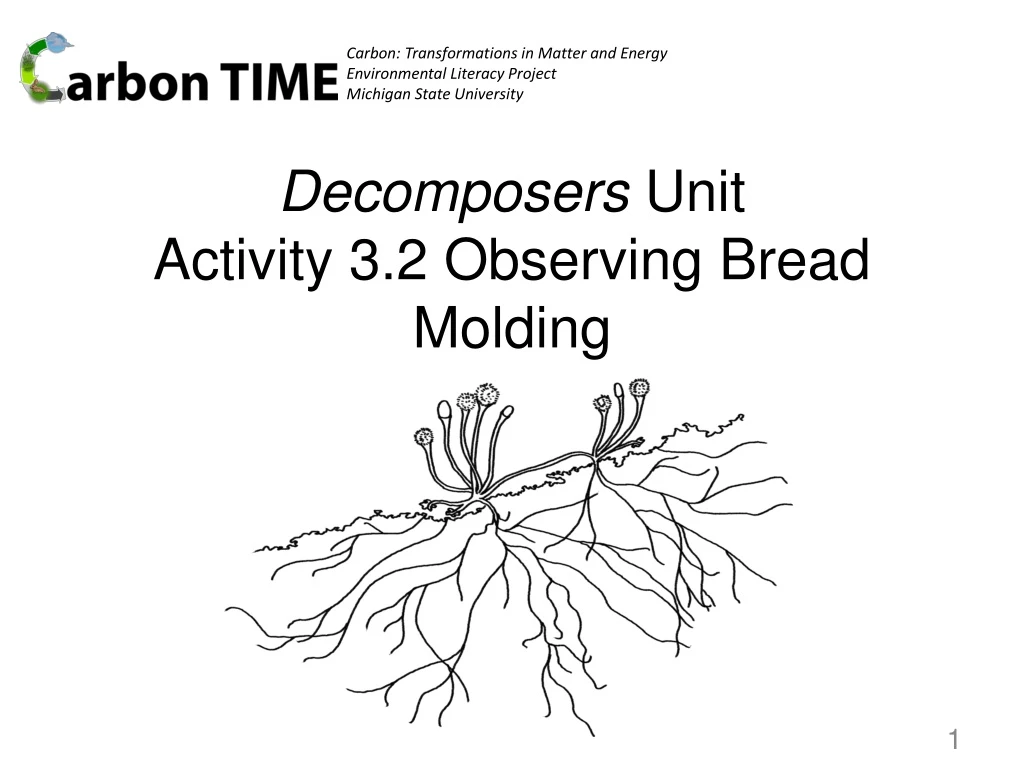 decomposers unit activity 3 2 observing bread molding