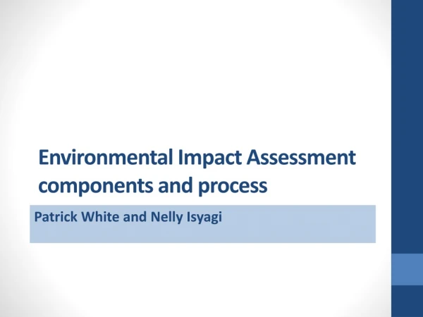 Environmental Impact Assessment components and process