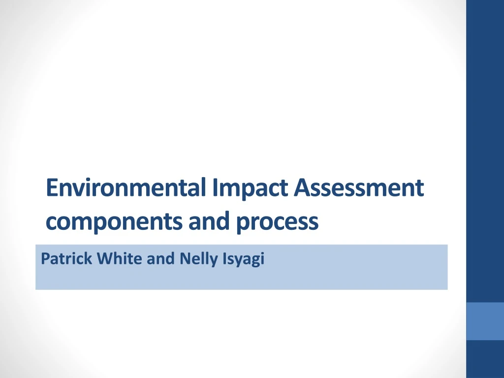 environmental impact assessment components and process