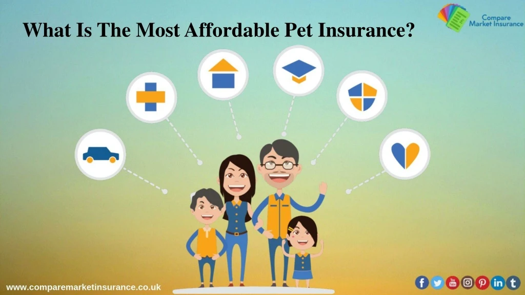 what is the most affordable pet insurance