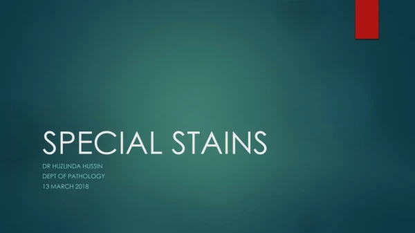 SPECIAL STAINS