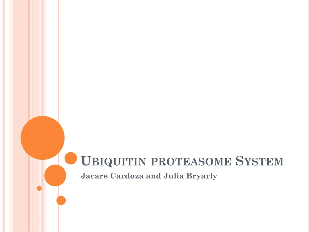 ubiquitin proteasome system