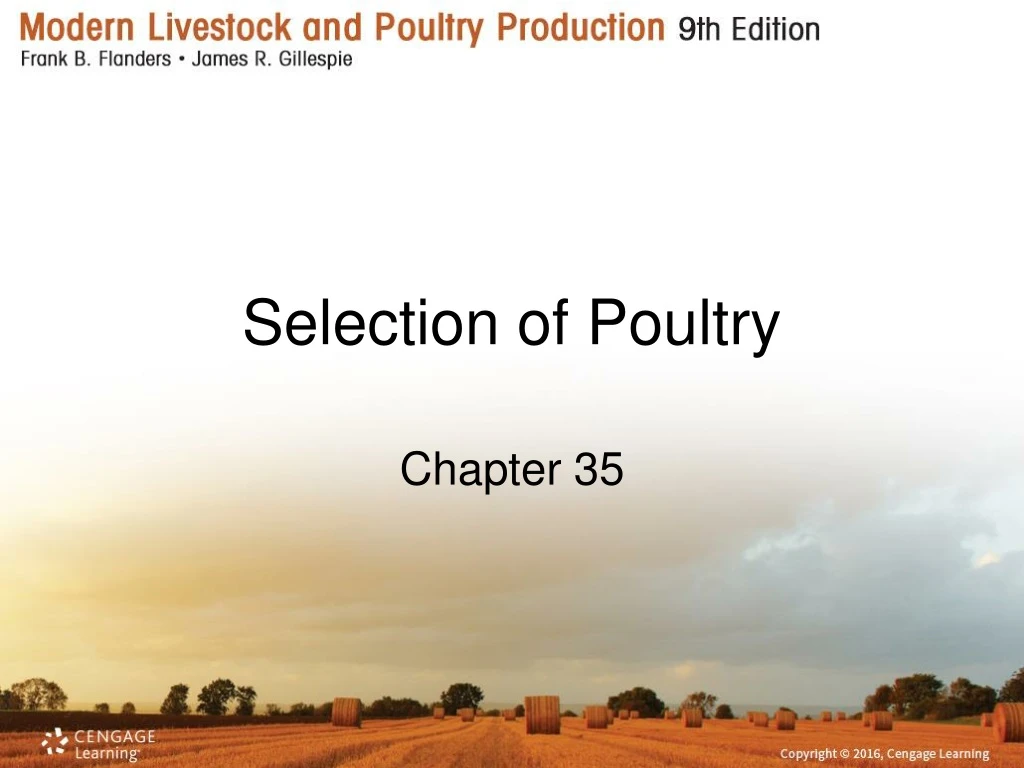 selection of poultry