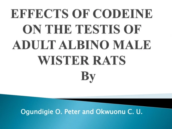 EFFECTS OF CODEINE ON THE TESTIS OF ADULT ALBINO MALE WISTER RATS By