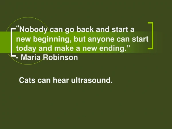 Cats can hear ultrasound.