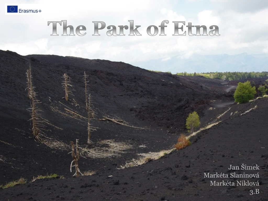 the park of etna