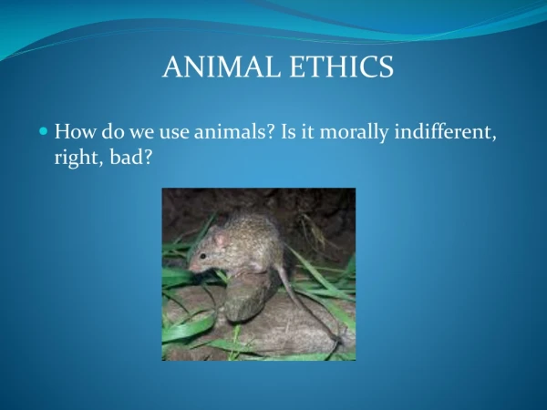 ANIMAL ETHICS How do we use animals? Is it morally indifferent, right, bad?