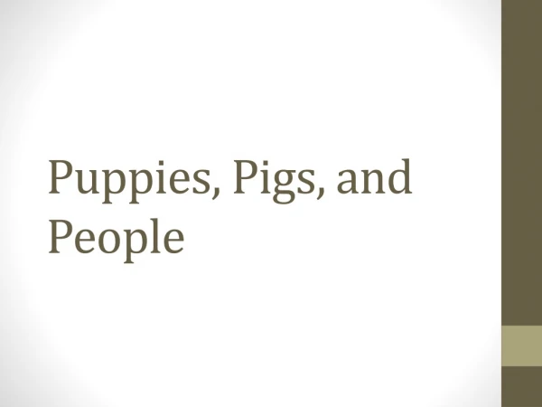 Puppies, Pigs, and People