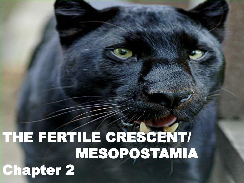 the fertile crescent mesopostamia chapter 2