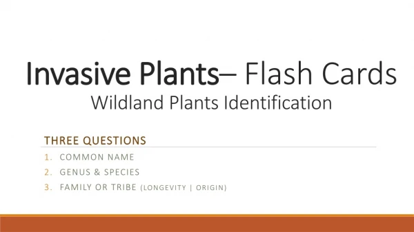 Invasive Plants – Flash Cards Wildland Plants Identification