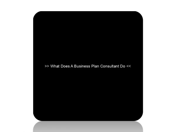 What Does A Business Plan Consultant Do