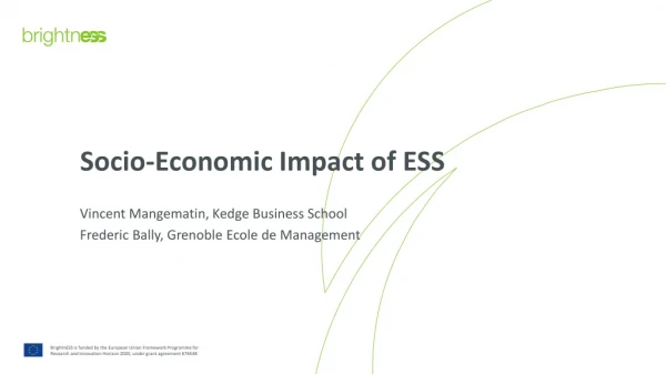 Socio-Economic Impact of ESS