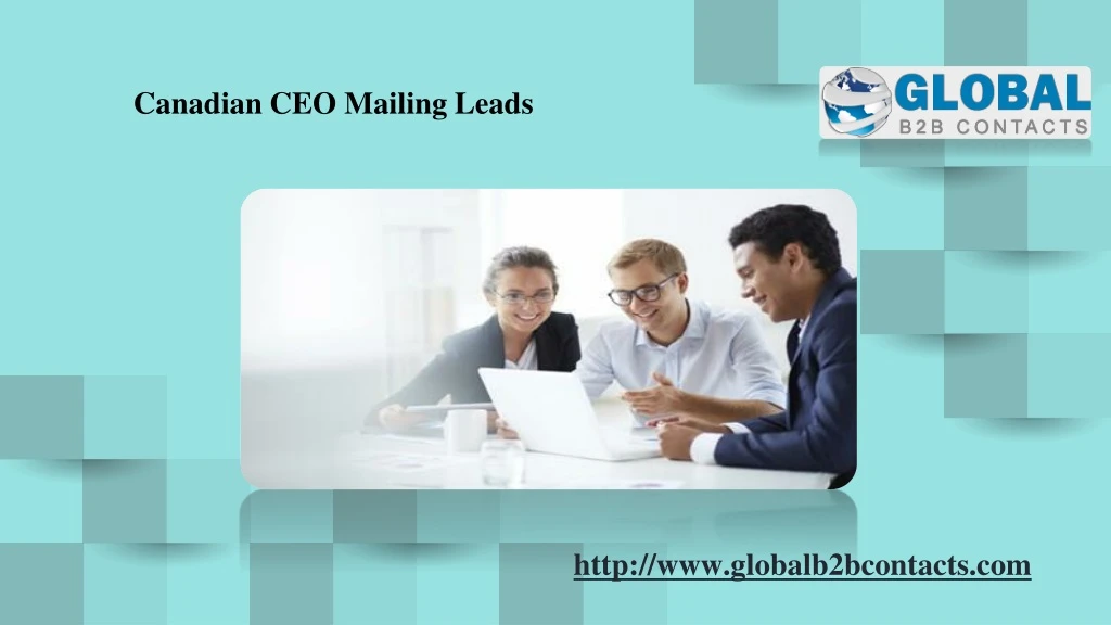 canadian ceo mailing leads