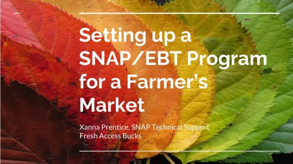 Setting up a SNAP/EBT Program for a Farmer’s Market