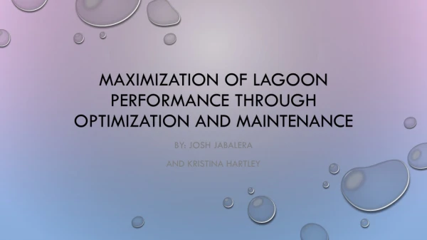Maximization of Lagoon performance through optimization and maintenance