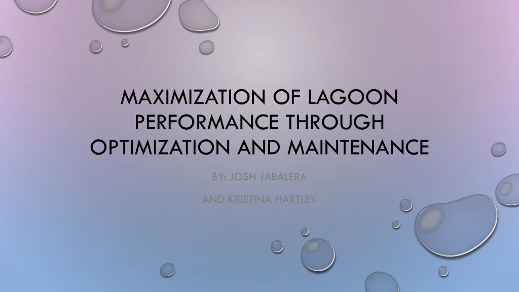 maximization of lagoon performance through optimization and maintenance