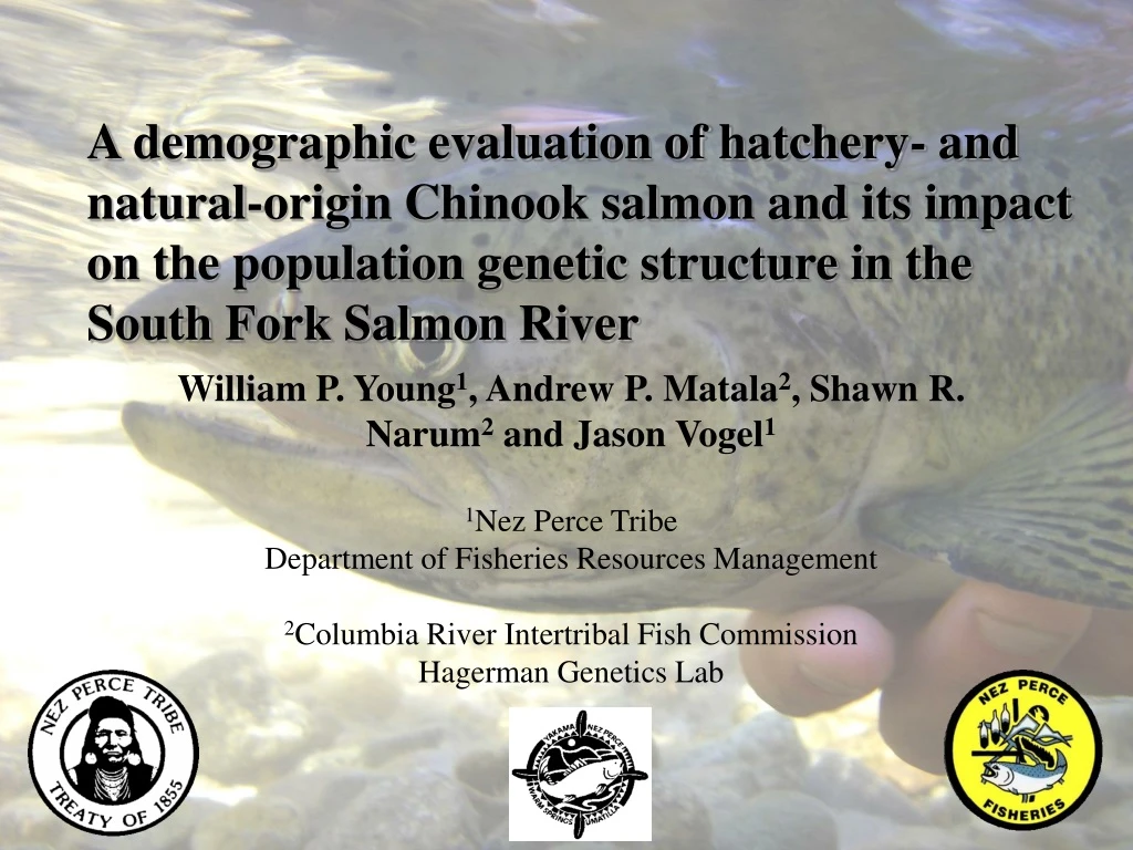 a demographic evaluation of hatchery and natural