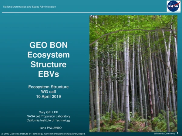 GEO BON Ecosystem Structure EBVs