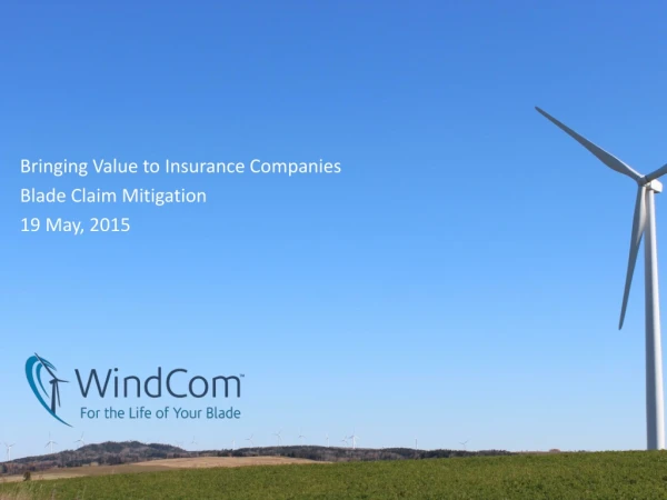 Bringing Value to Insurance Companies Blade Claim Mitigation 19 May, 2015