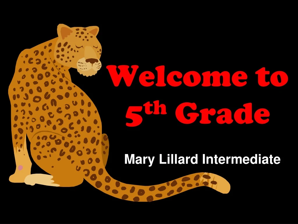 mary lillard intermediate