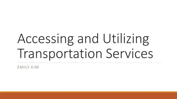 Accessing and Utilizing Transportation Services