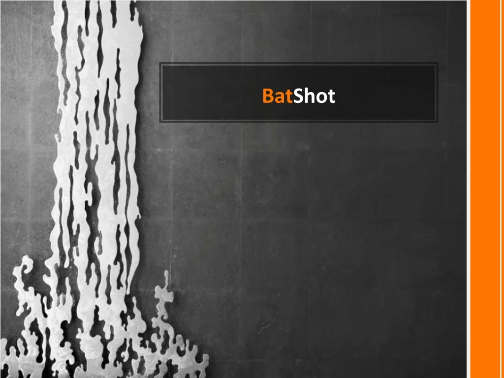 bat shot