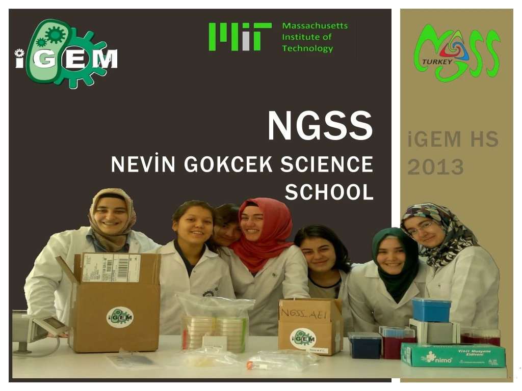 ngss nev n gokcek science school