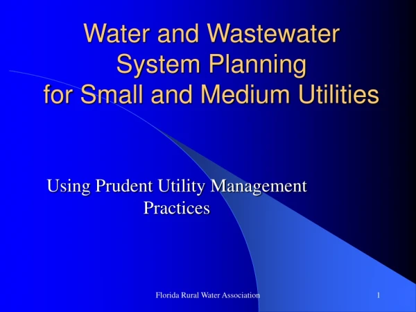 Water and Wastewater System Planning for Small and Medium Utilities