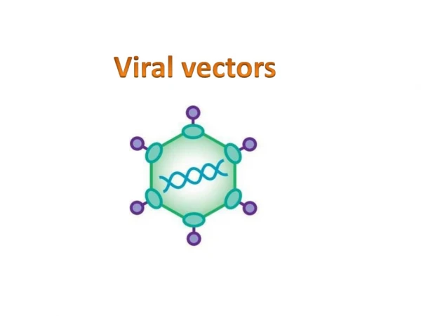 Schematic diagram of a generic viral vector