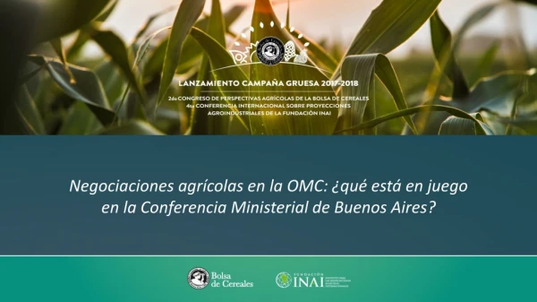 MC11: A new opportunity to reduce distortions in the agricultural global trade system